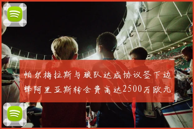 帕尔梅拉斯与狼队达成协议签下边锋阿里亚斯转会费高达2500万欧元