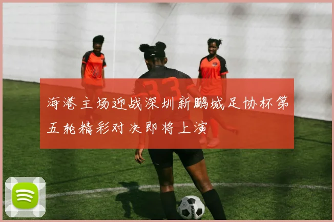 海港主场迎战深圳新鹏城足协杯第五轮精彩对决即将上演